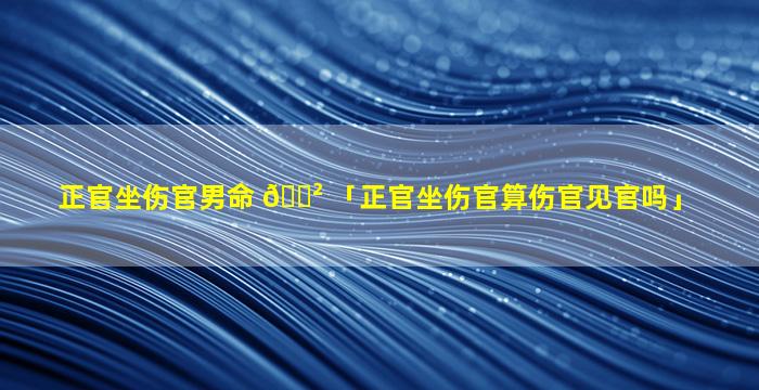 正官坐伤官男命 🌲 「正官坐伤官算伤官见官吗」